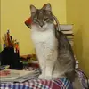 Отзыв от Кристина Пирогова